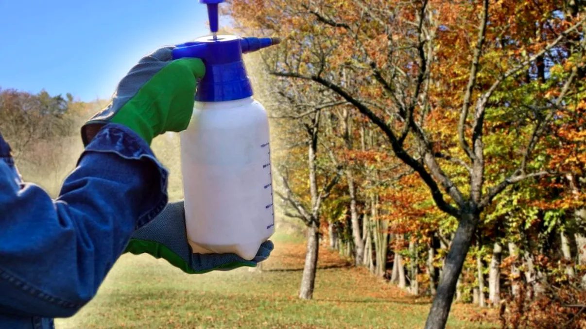 Produsul cu care trebuie să stropeşti pomii pentru fructe din belşug anul viitor. Vei avea o livadă cum nu ai mai văzut