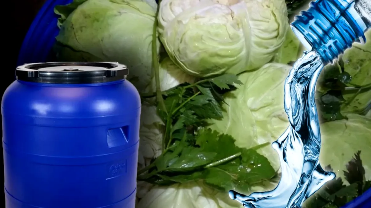 Puțini români știu acest detaliu important. Câtă apă e bine să pui la varză murată