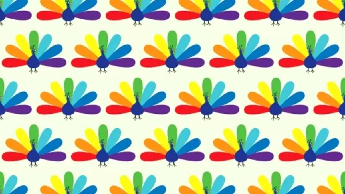 Test de IQ special. Găseşte păunul ciudat din imagine! Pare uşor, nu-i aşa?