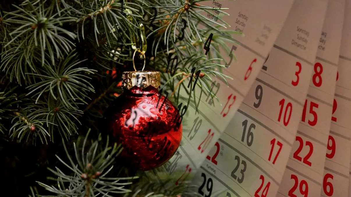 Ce să faci cu bradul natural de Crăciun pentru a nu se scutura. Detaliul care nu îl lasă să se usuce