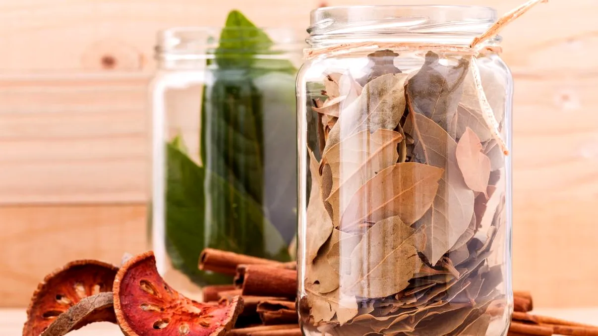 De ce să pui frunze de dafin într-un vas de sticlă. Trucul de care trebuie să afli la final de an, te scapă de o mare problemă