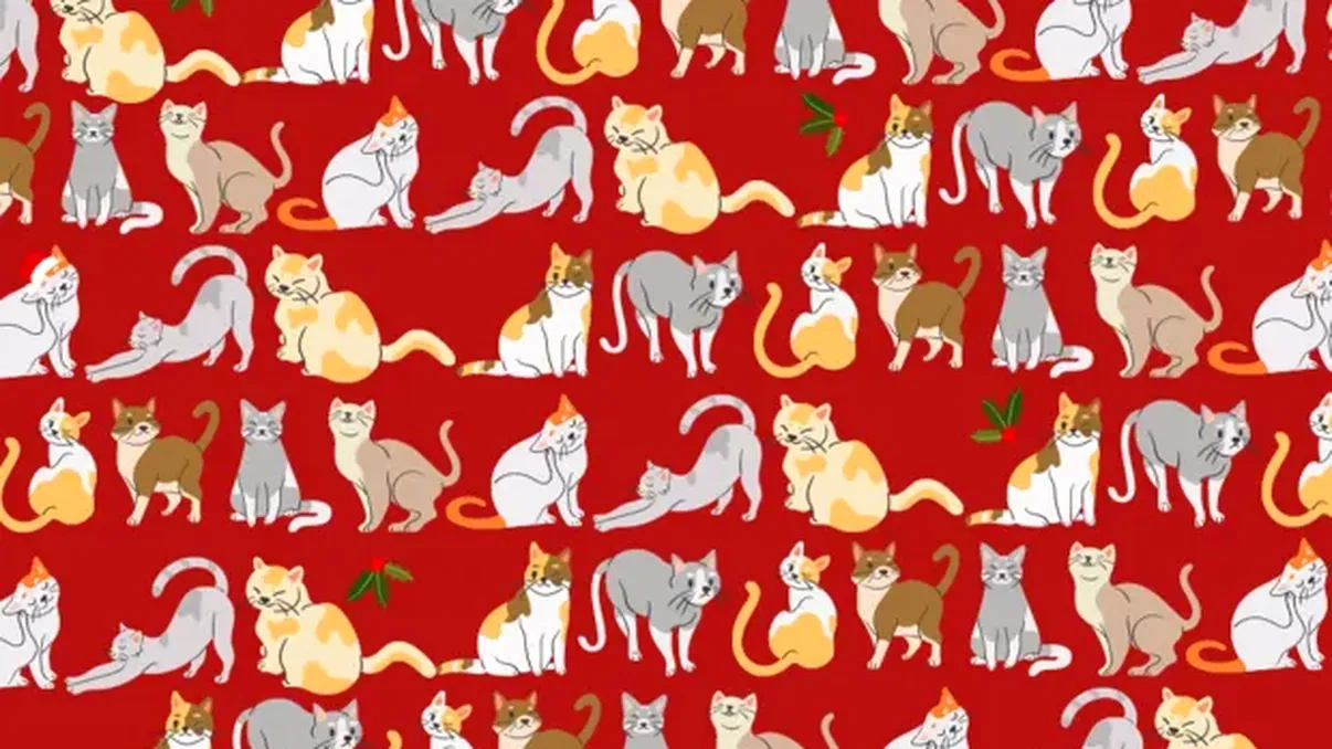 Test de IQ rapid. În cât timp poţi găsi pisica cu un fes de Moş Crăciun?