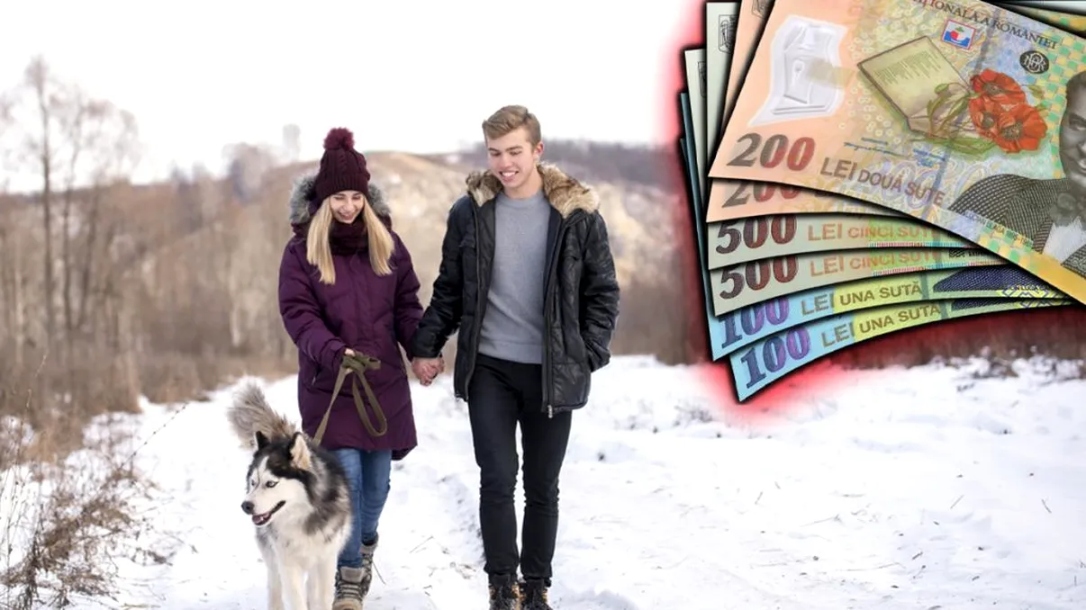 Amendă până la 1.500 de lei pentru proprietarii de câini. RCA-ul pentru animale devine obligatoriu