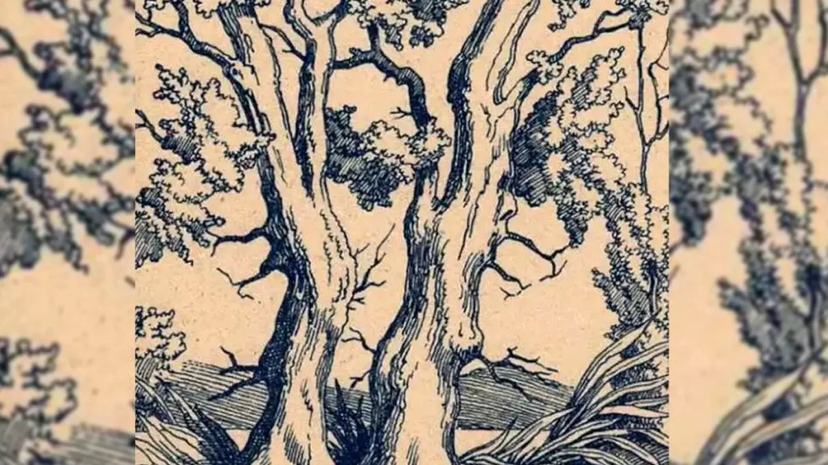 Iluzie optică doar pentru genii. Toată lumea poate vedea copacii din imagine, dar numai 1% din oameni pot vedea cei doi zei greci printre ramuri