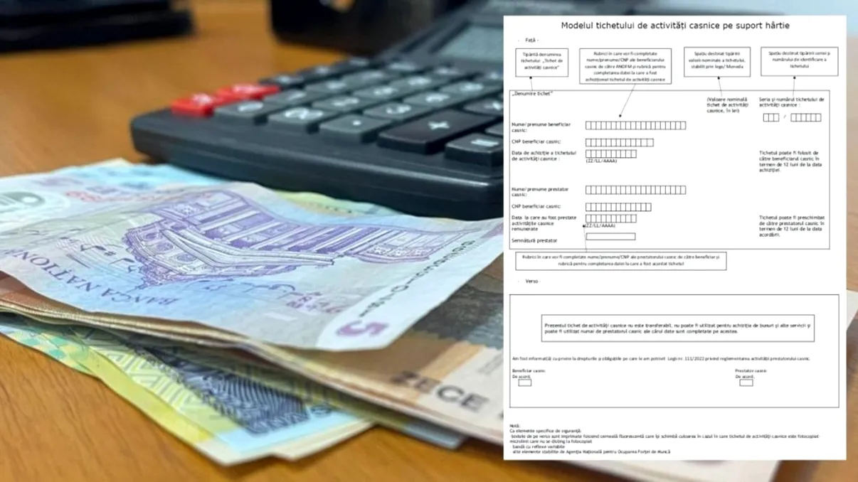 Tichete pentru activităţi casnice. Ce sunt, câţi bani poţi lua pentru ele şi cum pot fi folosite