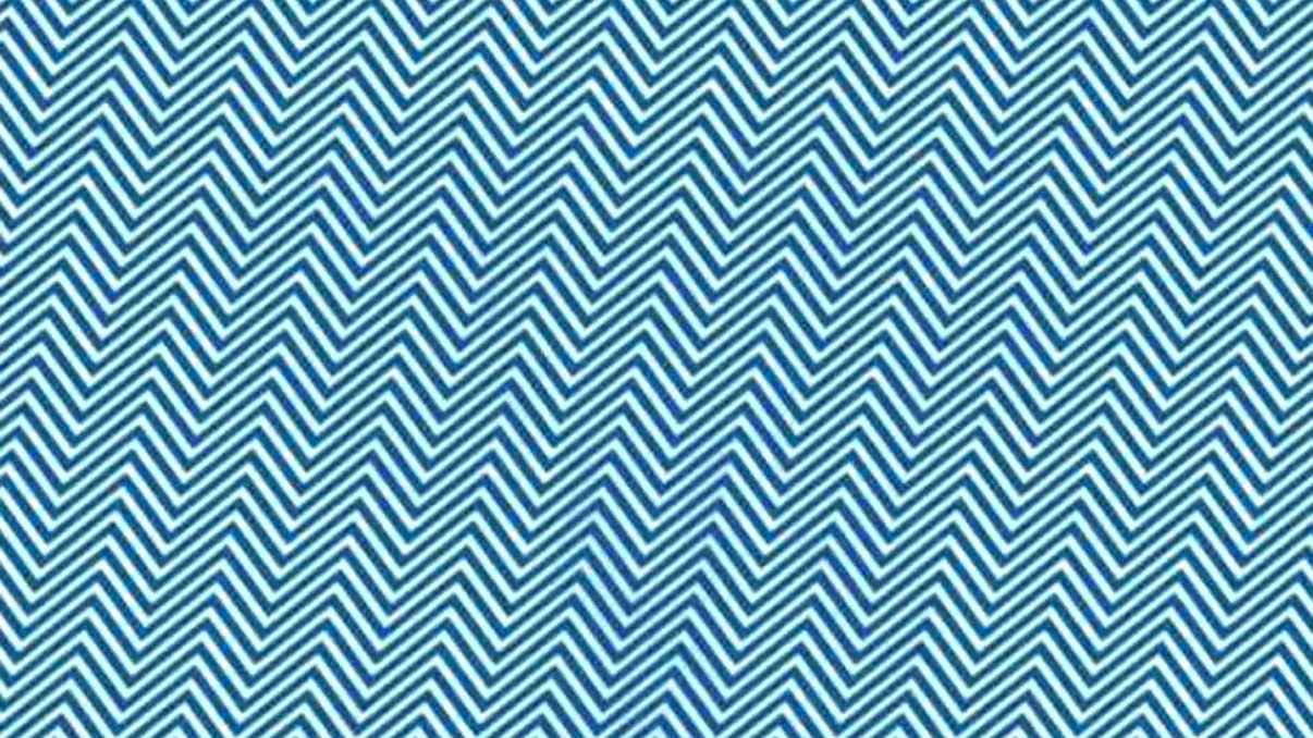 Iluzia optică a zilei. Doar geniile pot descoperi animalul din imagine în doar 8 secunde