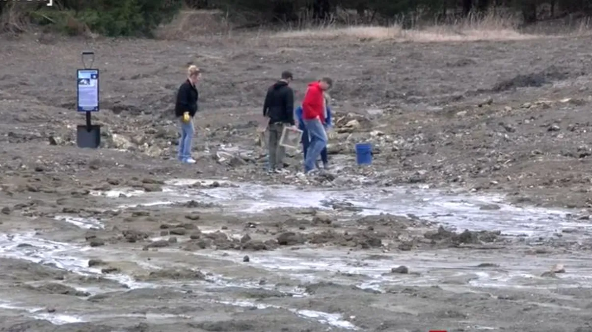 Comoara găsită de un turist în vacanţă. Valorează zeci de mii de euro, decizia pentru viitor pe care a luat-o imediat VIDEO