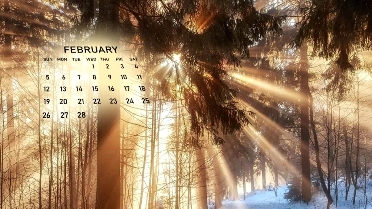 De ce este atât de cald în luna februarie 2024. Cum explică experții