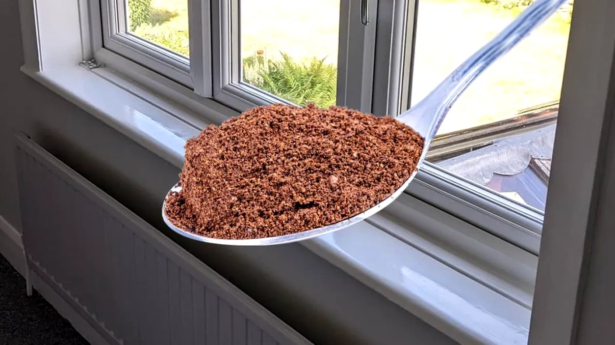 De ce să pui cafea măcinată pe pervazul bucătăriei. Secretul care te va scăpa de o mare problemă din gospodărie