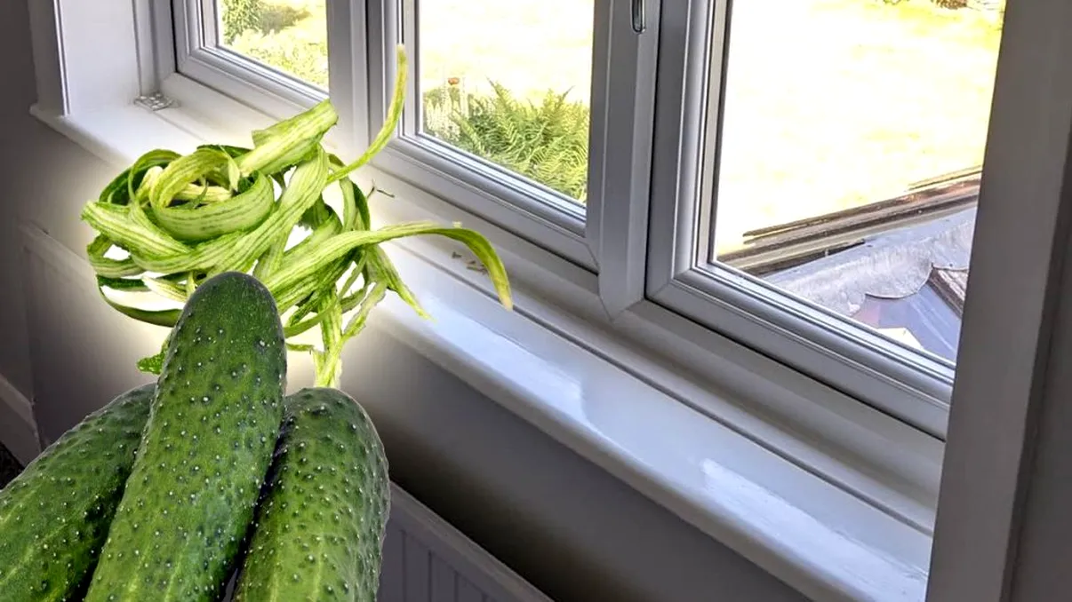 De ce să pui o coajă de castravete pe pervaz. Secretul care te scapă de o mare problemă a gospodinelor