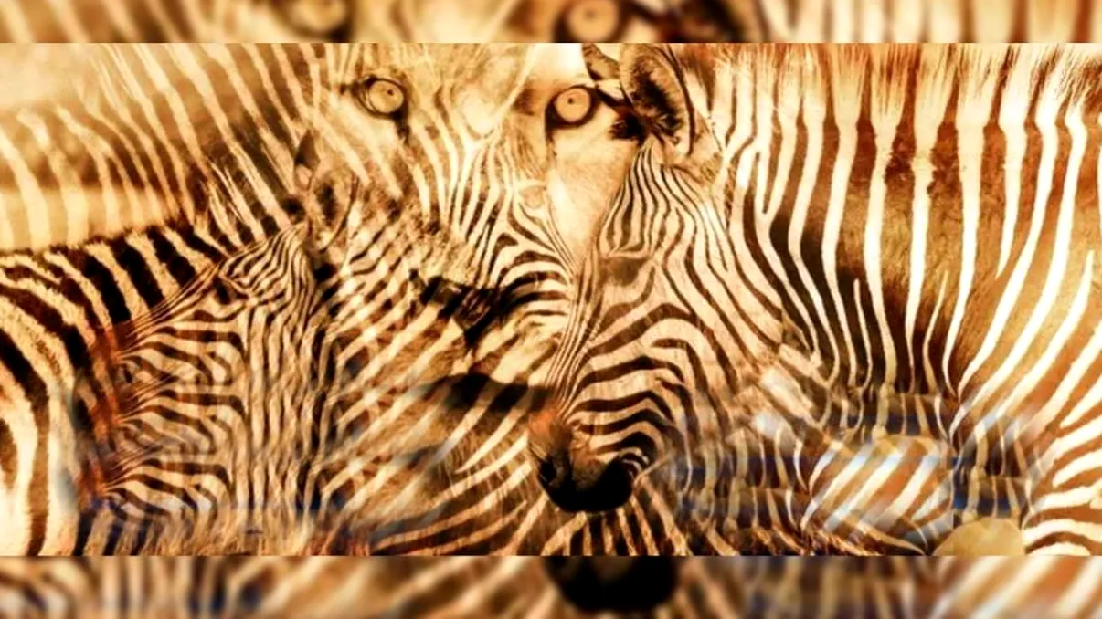 Iluzie optică de personalitate. Ce vezi prima oară îţi arată dacă eşti introvertit sau extrovertit. Ai curaj să încerci?