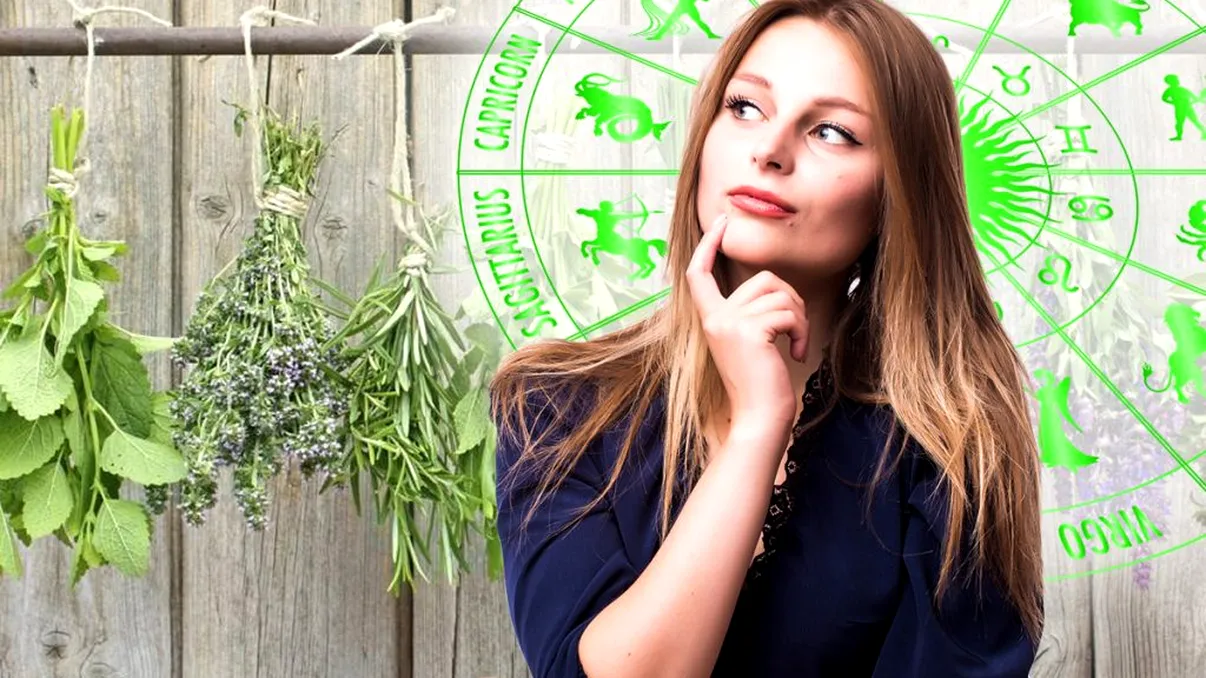 Ce plantă aromatică sau de grădină ți se potrivește în funcție de zodie. Știai acest detaliu?