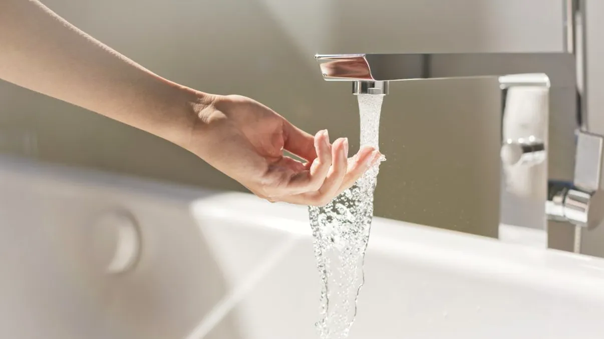 Cu ce să combini apa de la robinet înainte să uzi ghioceii și narcisele. Așa te vei bucura de cele mai frumoase flori