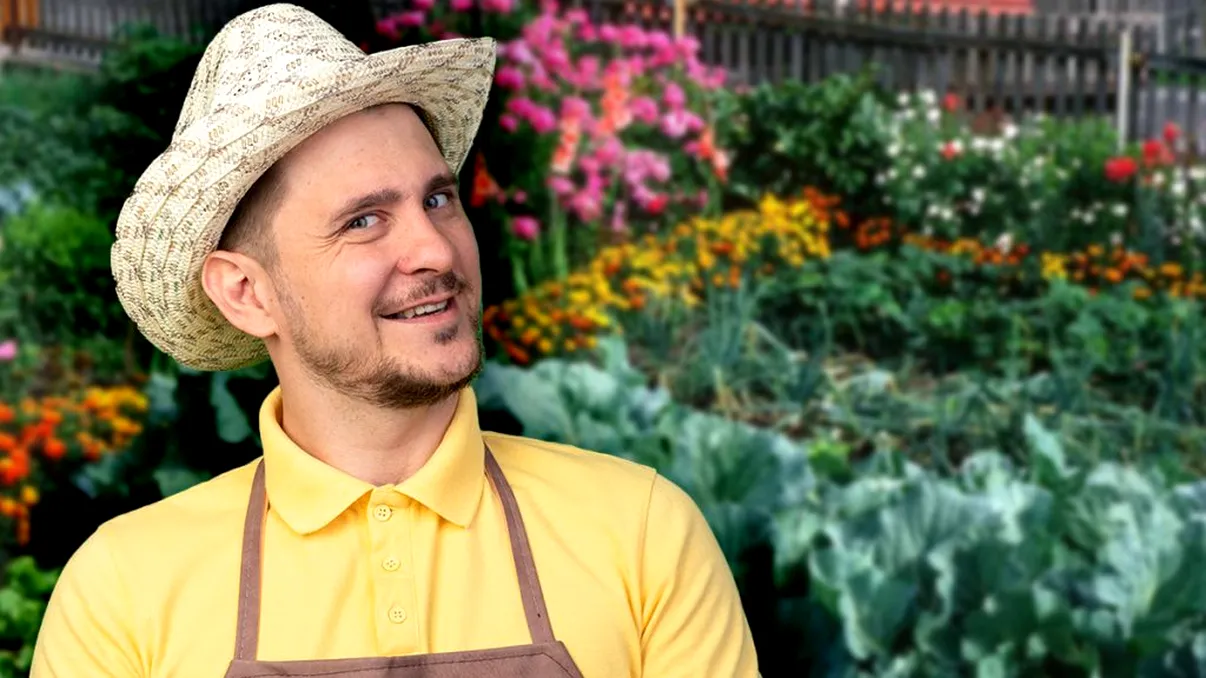 Florile pe care să nu le plantezi lângă legume. Sunt duşmanii recoltei bogate, ţine-le departe de grădină sau solar