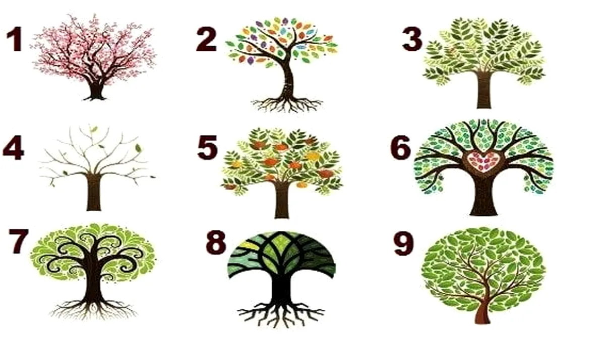 Test de personalitate inedit. Ce tip de muncă ți se potrivește în funcţie de copacul ales