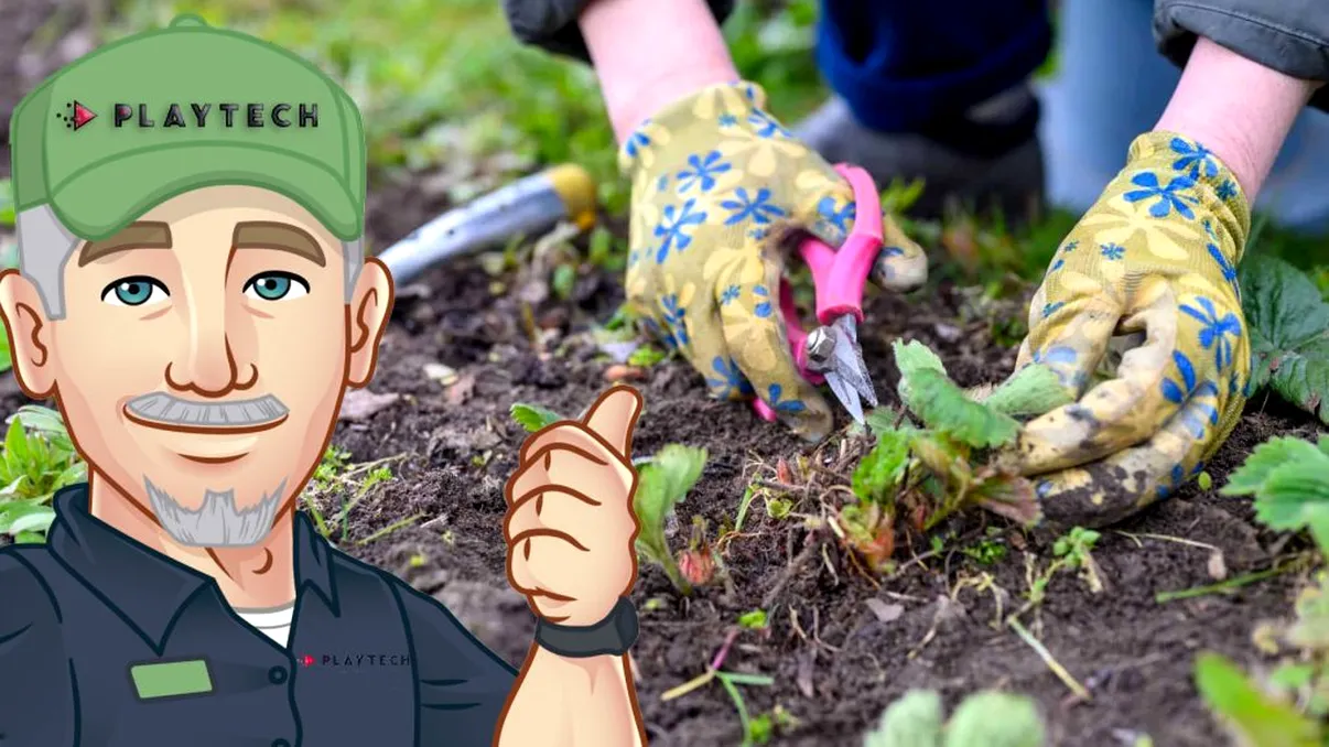 Cel mai ieftin erbicid natural. Foloseşti doar ce ai în casă şi scapi rapid de buruieni, sunt trucurile bunicilor