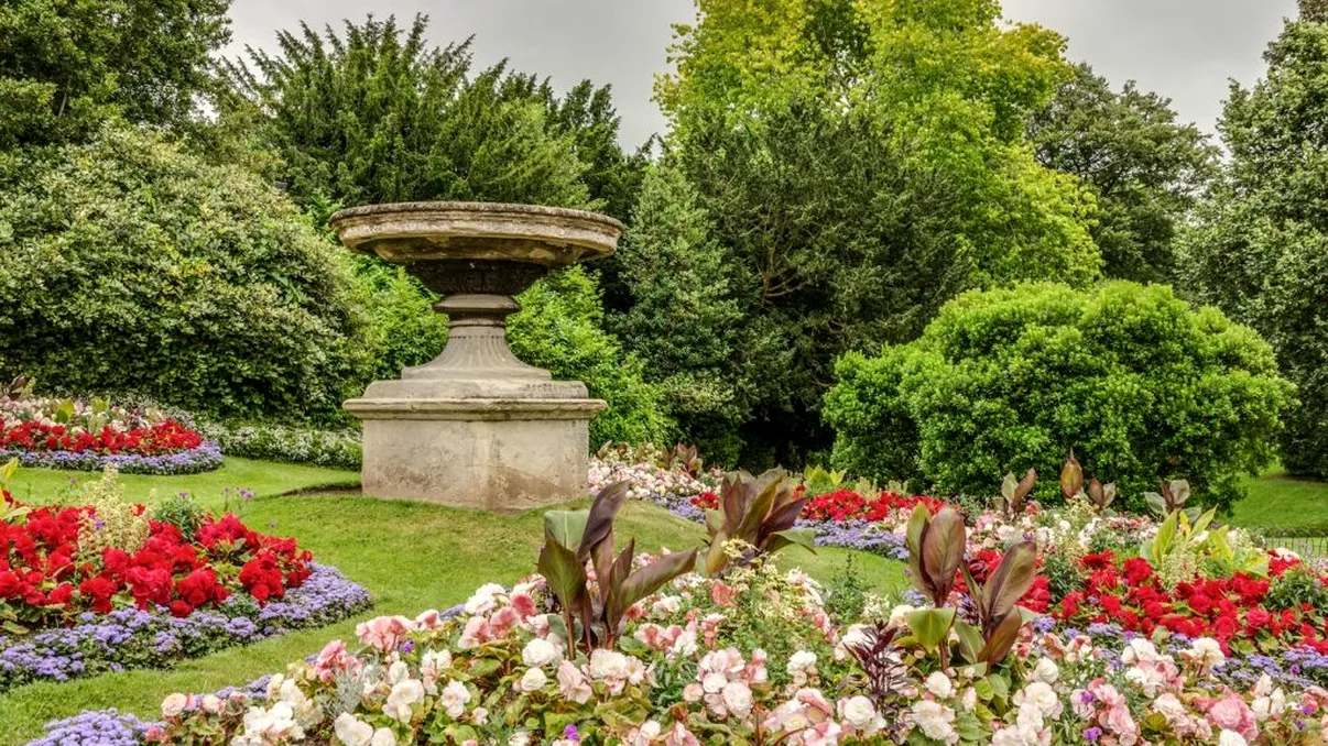 Cele trei plante sub 50 de lei care îţi vor transforma grădina. Sfaturile de aur ale grădinarului Regelui Charles