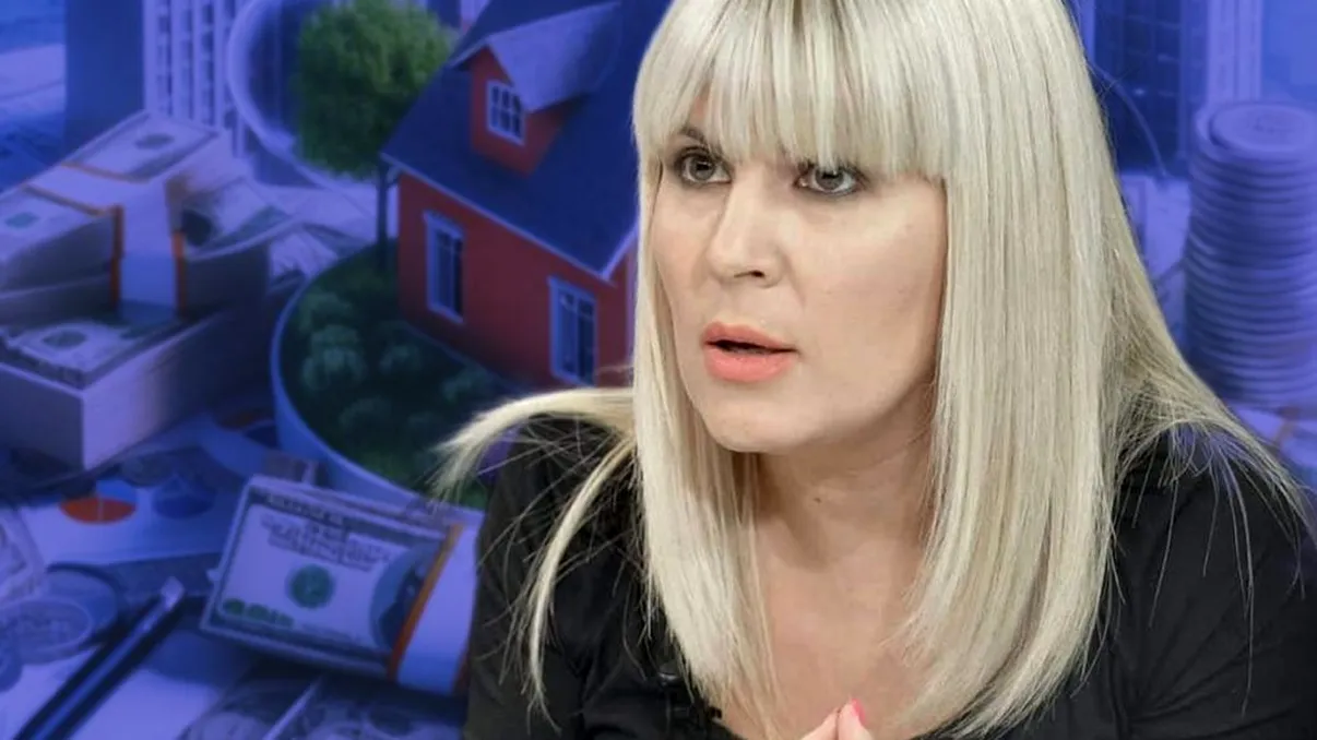 Elena Udrea, lovitură în afacerea de aproape 400.000 de euro. Ce decizie s-a luat