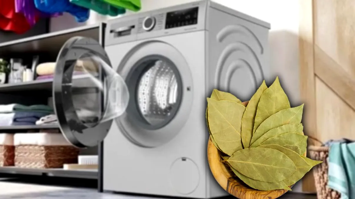Pune 5 frunze de dafin în mașina de spălat. Efectul e fabulos, doar așa vei proceda de acum încolo
