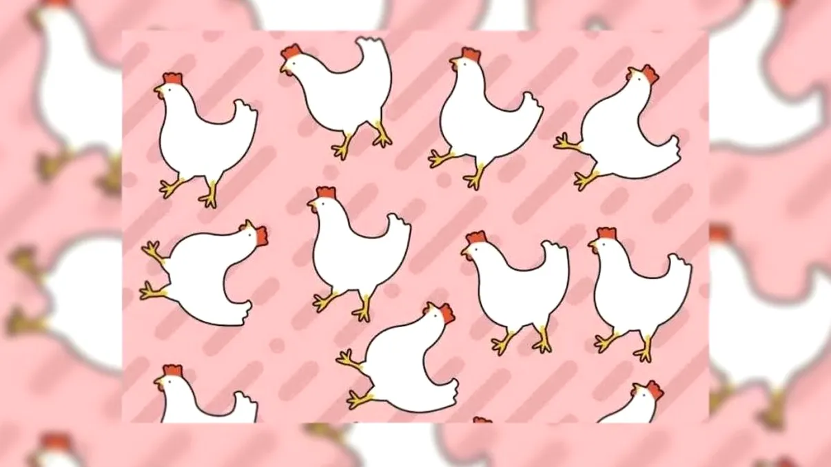 Test de IQ pentru ziua de joi. Care este găina ciudată din imagine? Are ceva special