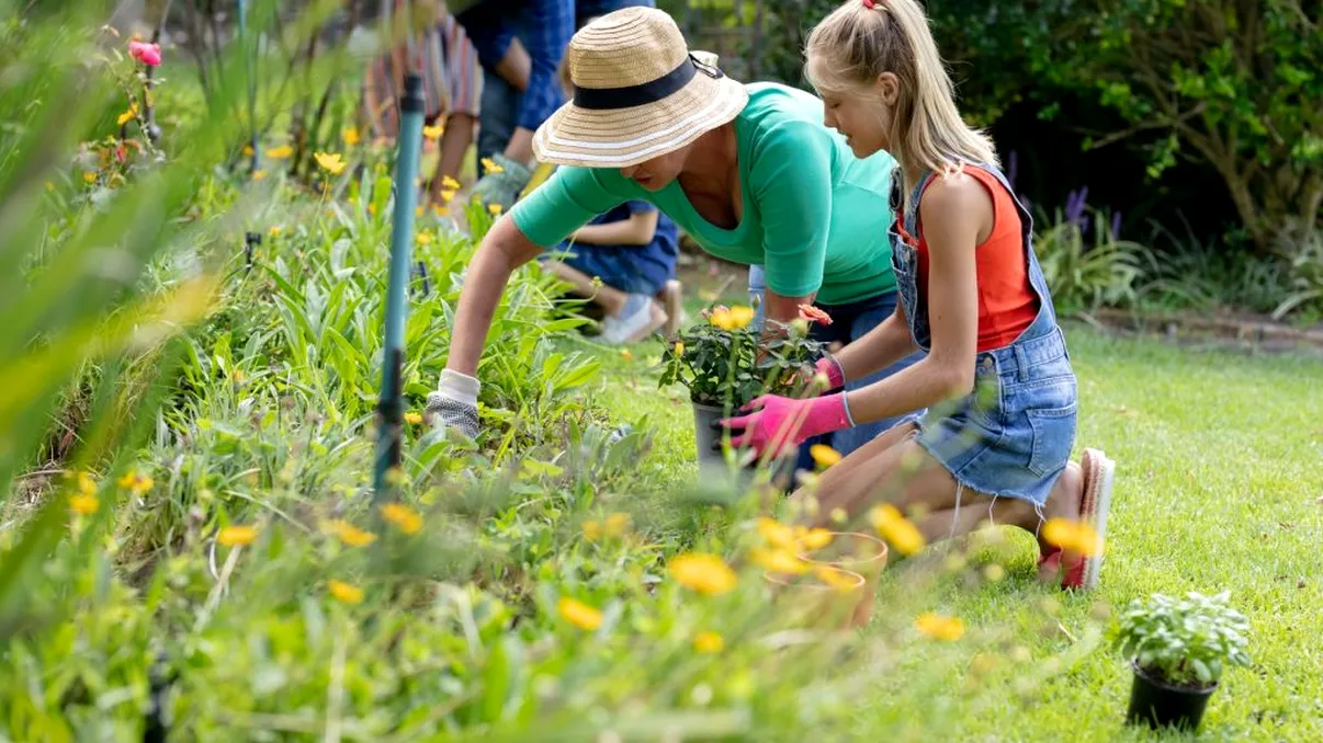 3 flori superbe pe care să le plantezi după Paște. Vor înflori spectaculos la mijlocul verii