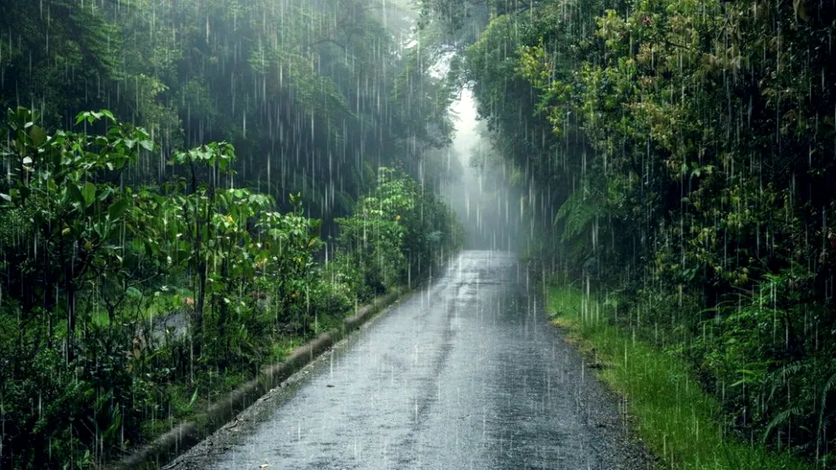 Alertă ANM de vreme rea! Unde va ploua cu găleata, zonele lovite de cod galben