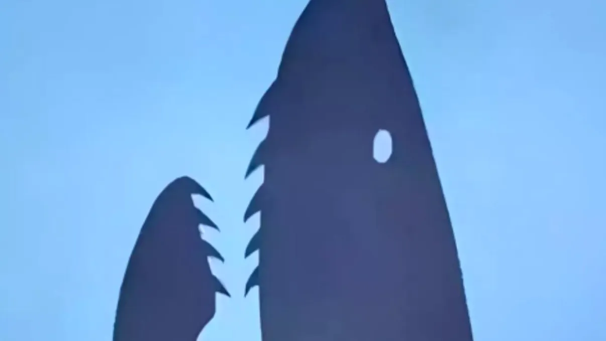 Iluzia optică a momentului. Toţi pot vedea rechinul, dar câţi reuşesc să zărească şi o parte a corpului uman? Ai 3 secunde!