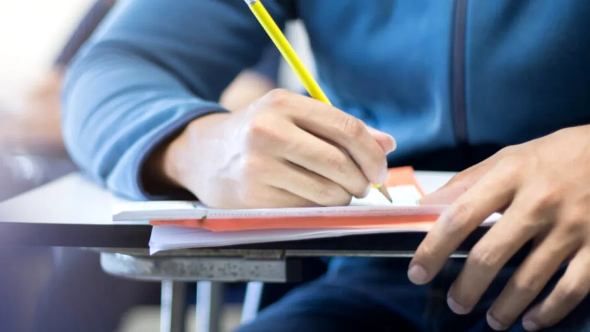 Programă limba română BAC 2024. Ce opere trebuie să învețe elevii