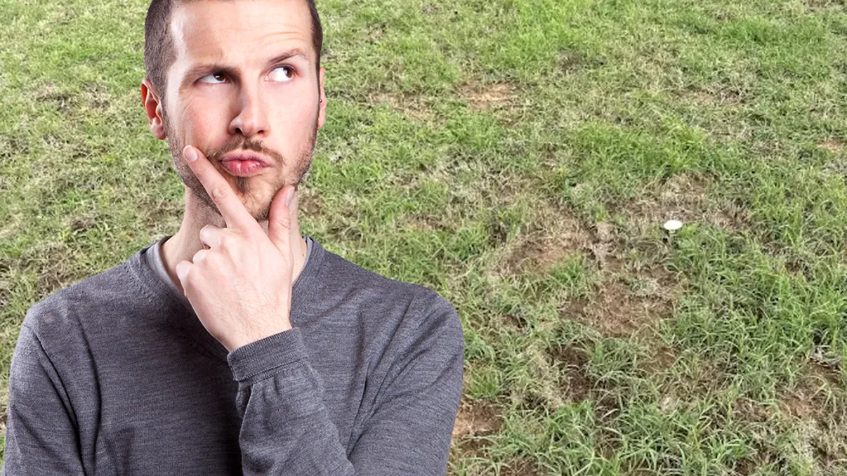 Test IQ pe care doar 1% îl rezolvă. Trebuie să ai cele mai bune abilități de supraviețuire ca să poți observa șarpele ascuns în iarbă