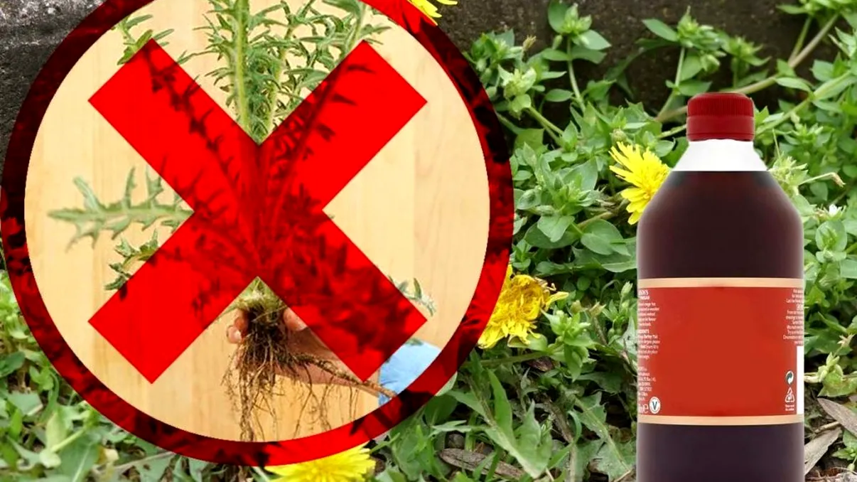 Amestecul puternic cu care să stropești vara în curte. Te scapă definitiv de buruieni, fără efort