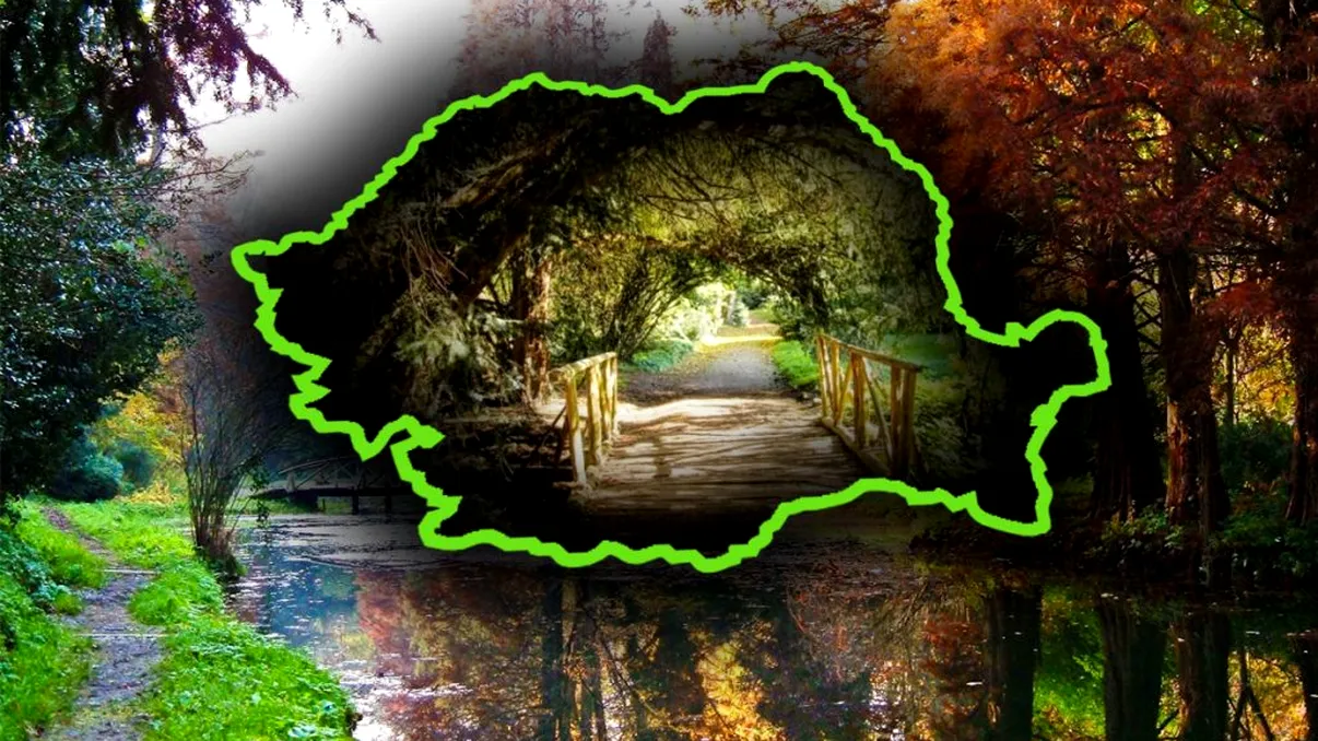 Parcul din Capitală care s-a transformat dintr-o junglă într-un colț de rai. E unic în București, însă puțini au aflat de el