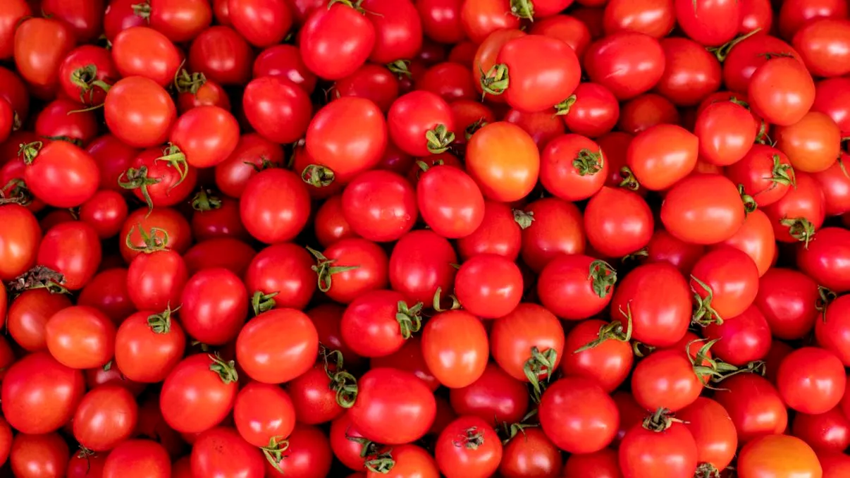 Trucul simplu pentru ca roșiile să rămână proaspete cât mai mult timp. Nu se vor mai strica imediat