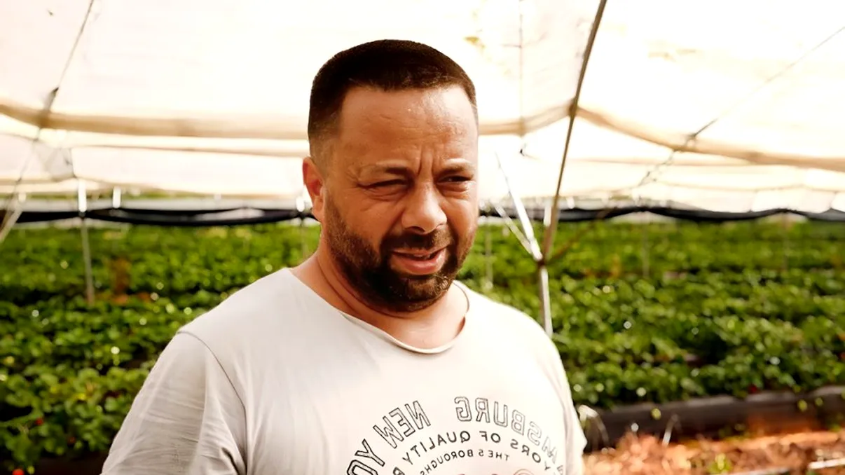 Afacerea cu care un român din Spania a dat lovitura. Face bani pe bandă rulantă cu doar 5 angajați: „Nu cred că aș fi reușit în România”