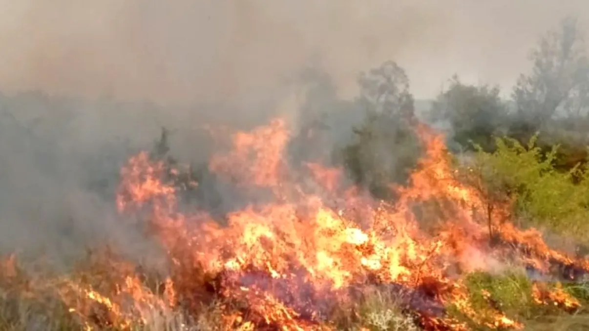 Incendiu devastator în Mehedinți. Un sat întreg, la un pas să fie distrus de flăcări