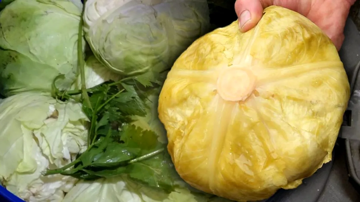 Varză murată ca la țară, rețetă veche de 100 de ani. Gospodinele nu uită să pună la final ingredientul care dă o aromă demențială