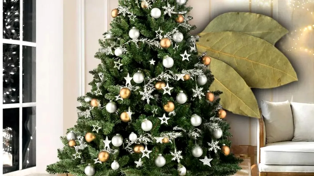 De ce se pun frunze de dafin în bradul de Crăciun, de fapt. Secretul prosperității și bogăției