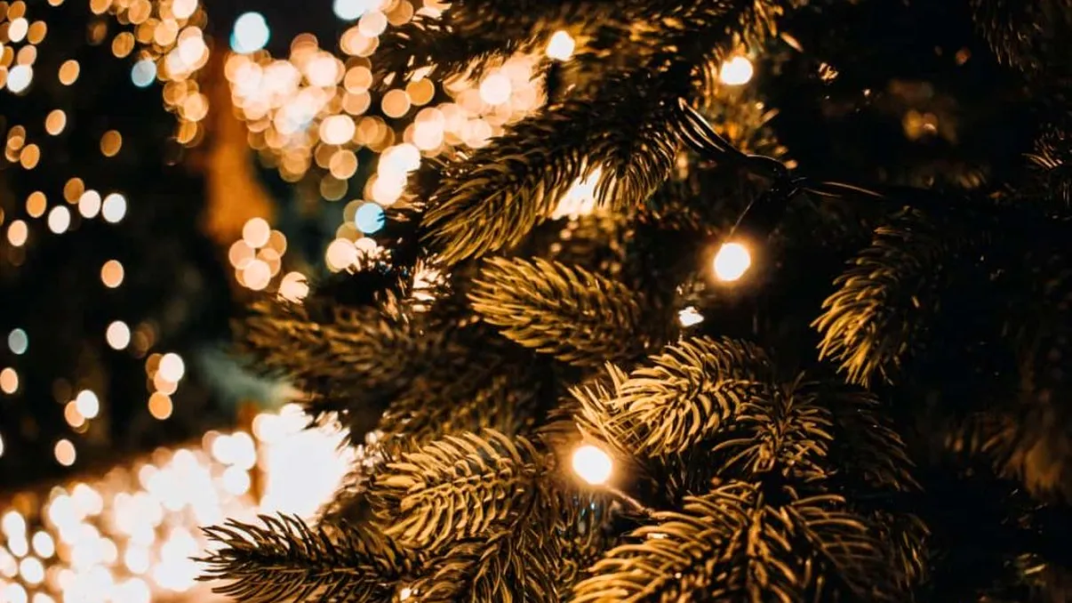 Se oprește curentul în Ajun și de Crăciun în județul Ilfov. Lista străzilor care nu vor avea lumină în perioada 24-26 decembrie