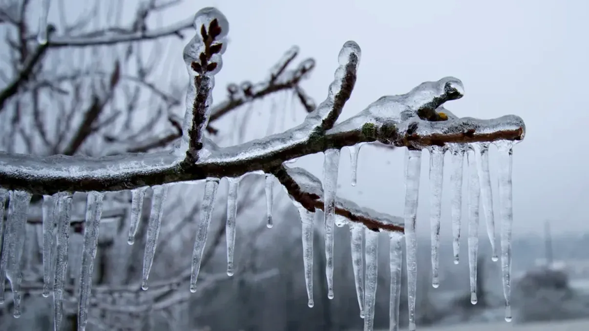 Fenomenul „freezing rain” acaparează România în ianuarie. Zonele în care va ploua cu gheață în următoarea perioadă