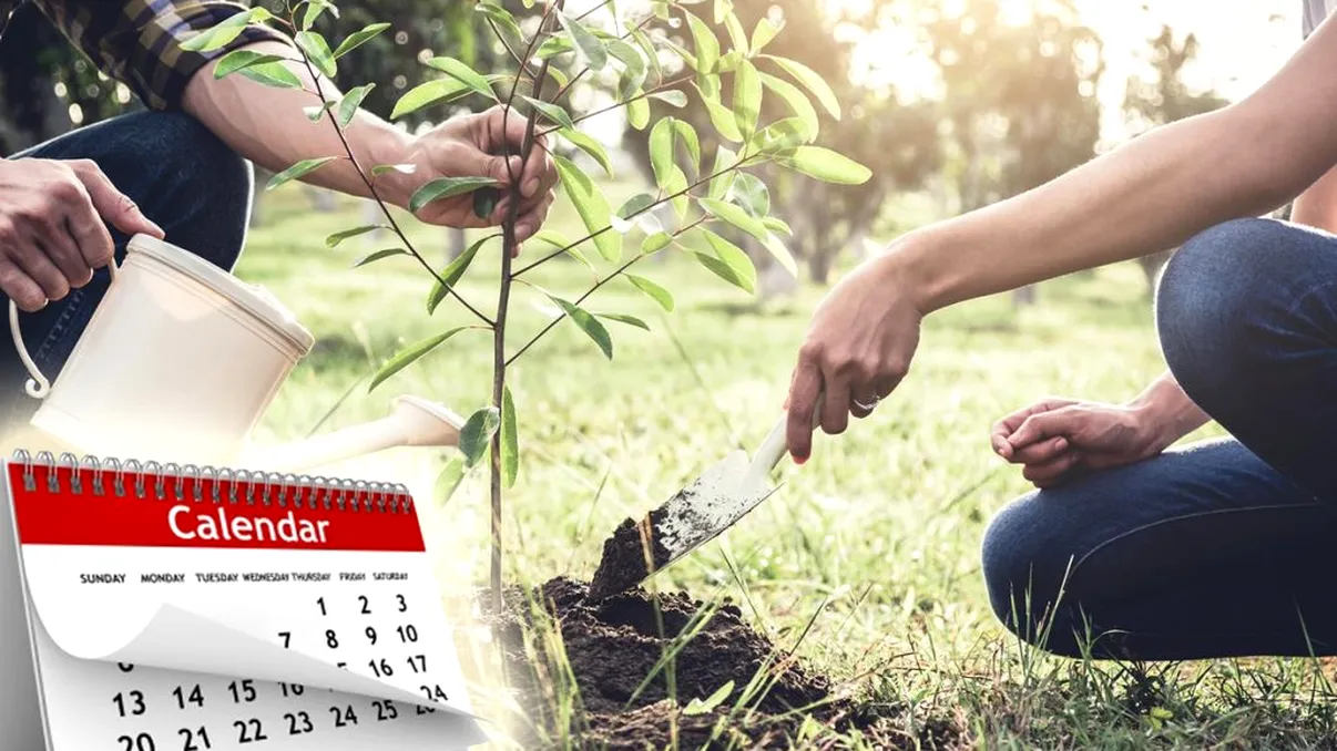 Ce se pune la rădăcina copacilor în luna februarie pentru o recoltă bogată toamna? Detaliul ştiut doar de agricultorii cu experienţă