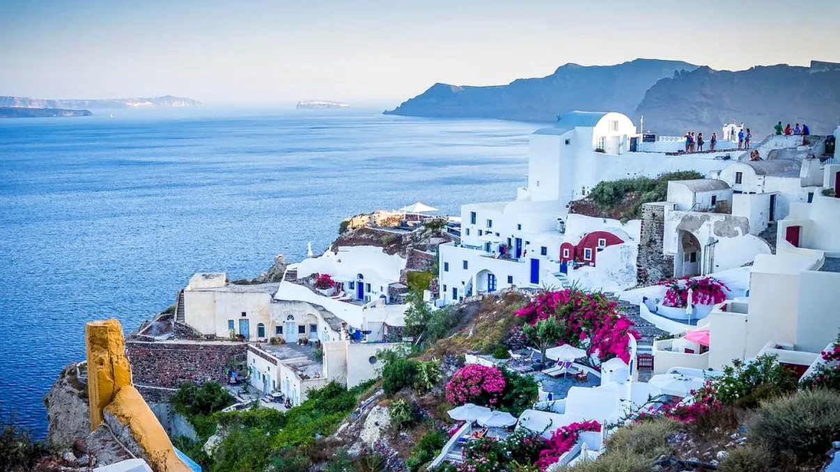 Planta de balcon care te face să te simţi ca în Grecia. Este plină de culoare, urcătoare şi foarte uşor de îngrijit