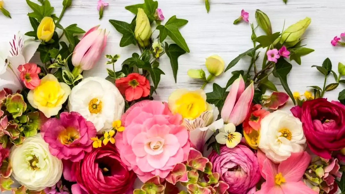 Numele de care românii uită că se sărbătoresc de Florii. Cui trebuie să îi spui „La mulți ani” în această zi