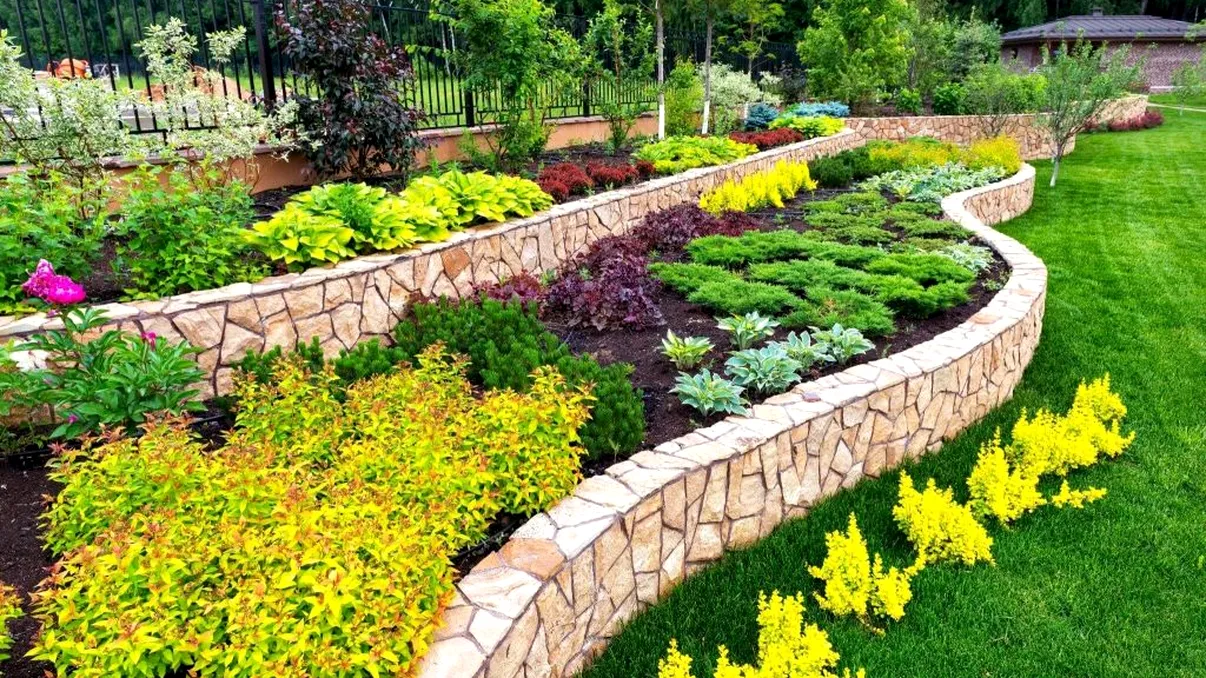 Florile care trebuie plantate în mai pentru o grădină de vis la final de vară. Vecinii îţi vor cere 