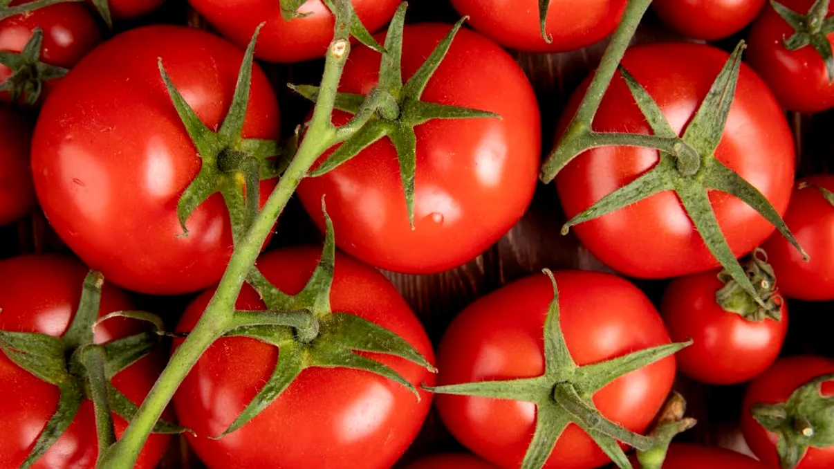 Cum păstrezi roșiile proaspete toată vara. Greșeala pe care o fac mulți români