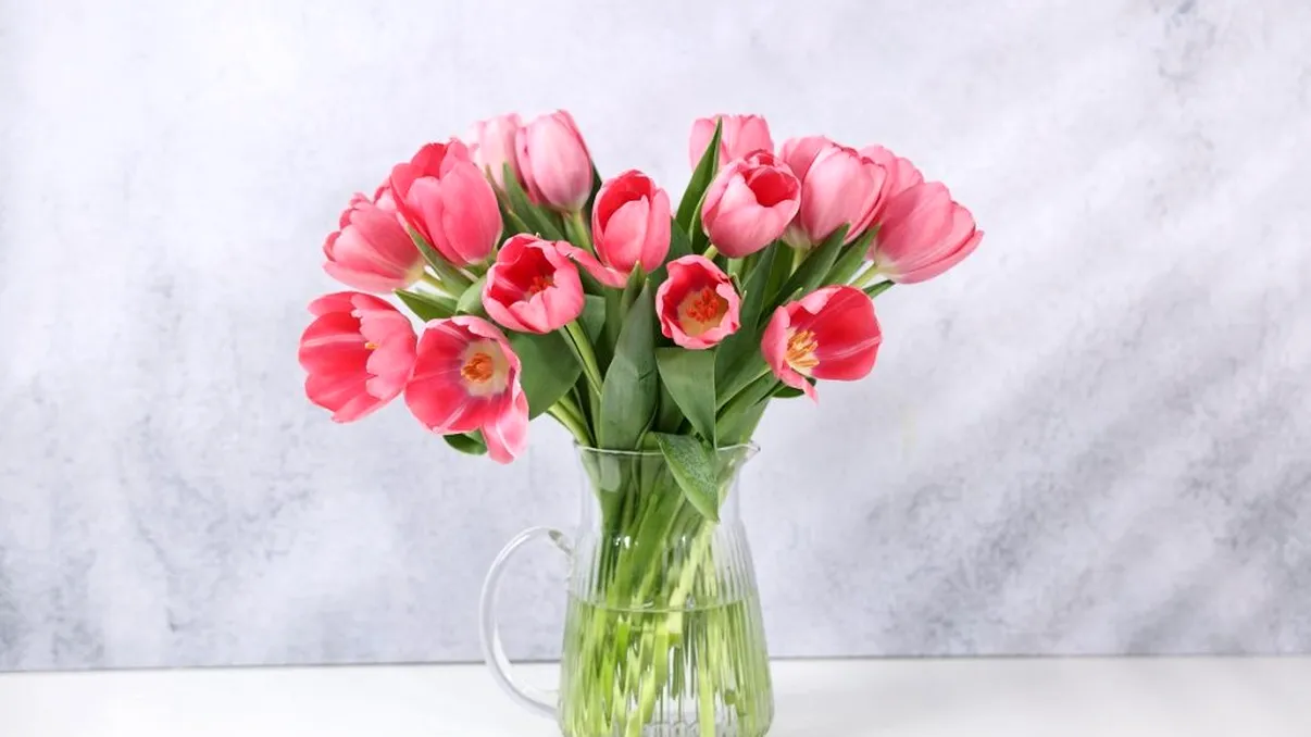 Cum prelungești viața lalelelor din vază. Ingredientul care face diferența