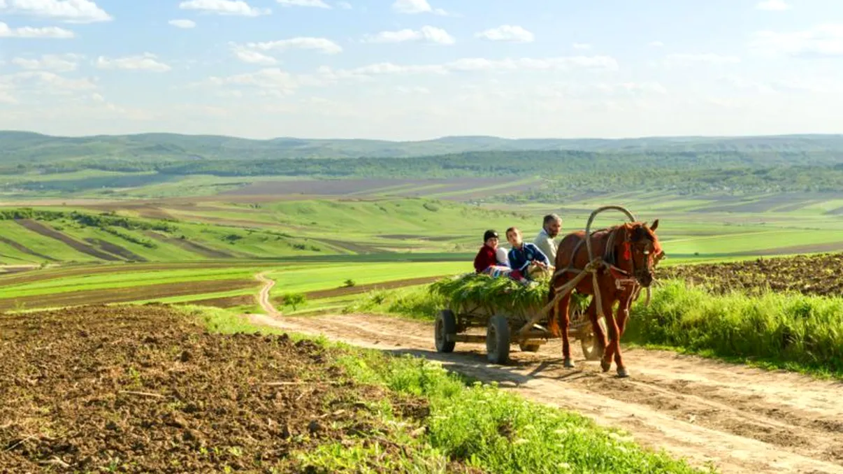 Tinerii români, agricultori de bază: de ce preferă să lucreze la țară și care sunt alternativele