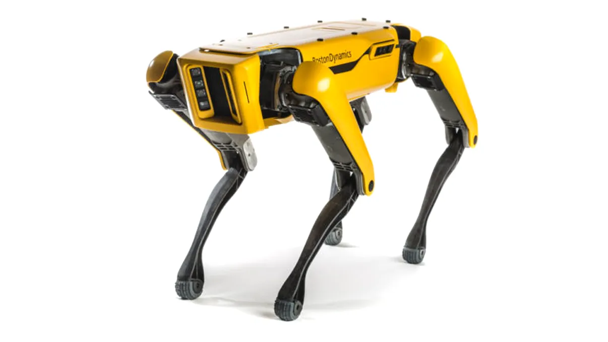 Câinele-robot al Boston Dynamics: cum a uimit membrii BTS într-un viral de milioane
