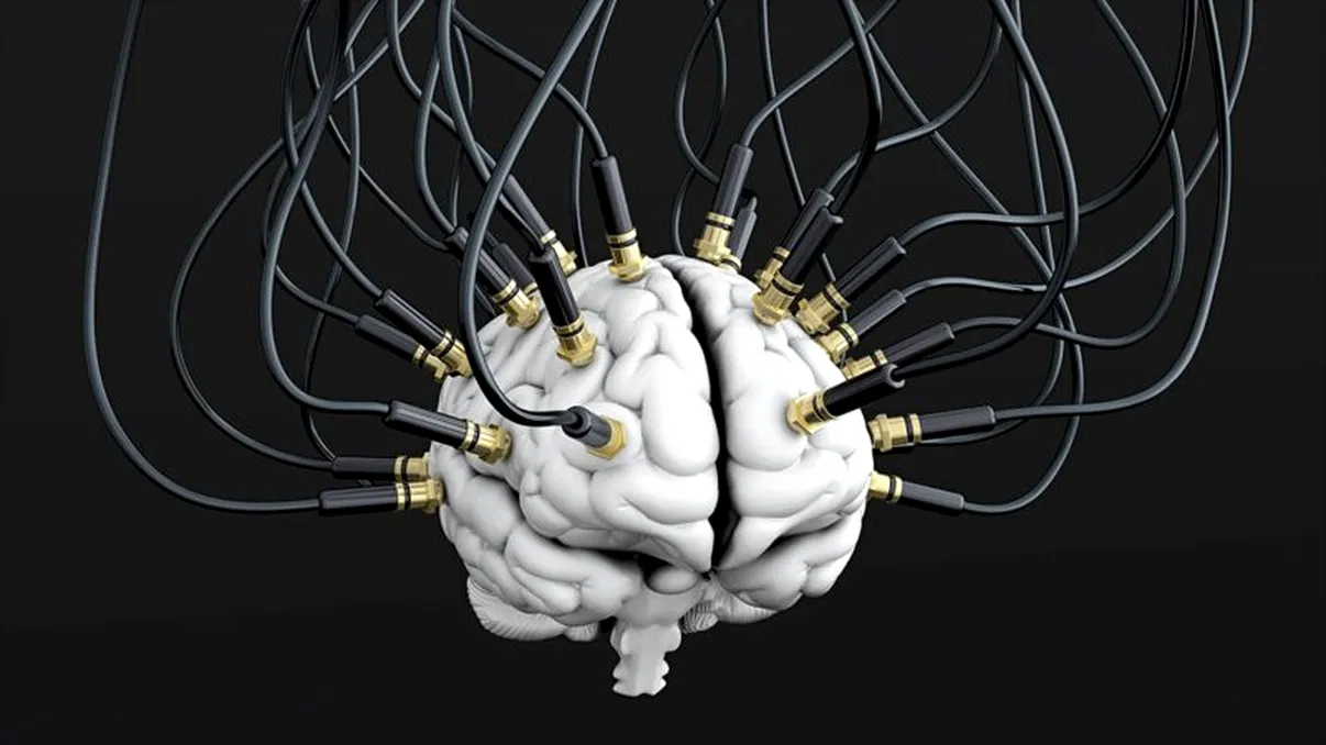 Cercetătorii au creat creiere-cyborg: cum va revoluționa asta domeniul tehnologiei