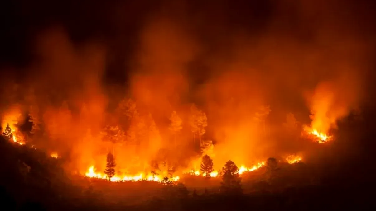 Ce au distrus oamenii acum 13.000 de ani, prin incendii. Situația pare că se repetă și în zilele noastre, avertismentul specialiștilor
