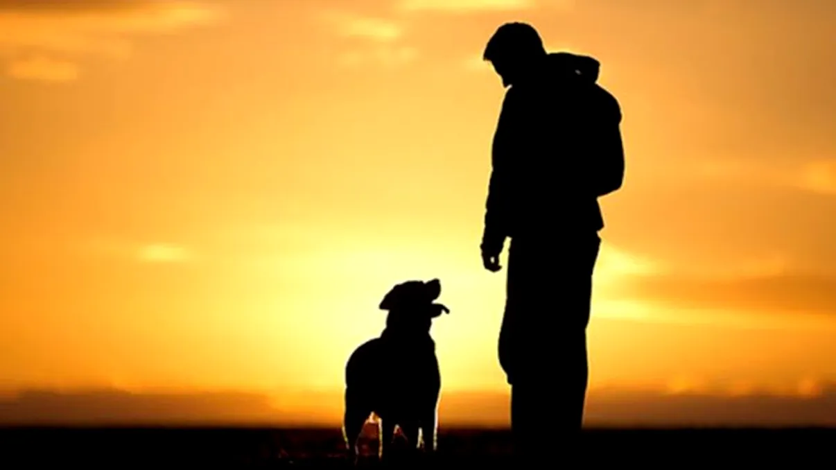 Câte minute trebuie plimbat câinele în funcție de vârstă, pentru a-i proteja sănătatea, conform veterinarilor