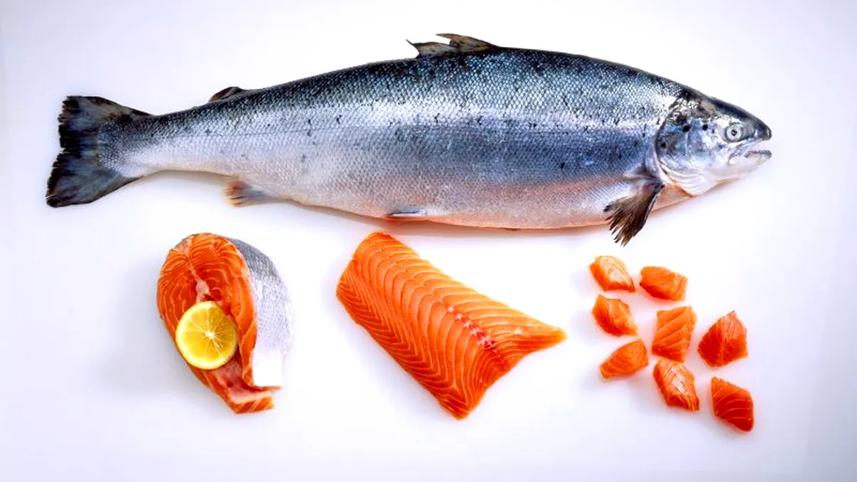 Peștele considerat cel mai toxic din lume, consumat și de români: Bogat în Omega-3 și alți nutrienți, dar o problemă alimentară numită somonul norvegian